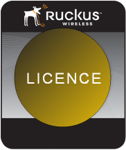 Ruckus Licence